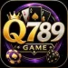 Q789 Game